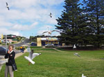 IMGP8059.jpg
