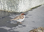 IMGP8061.jpg