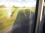 IMGP8101.jpg