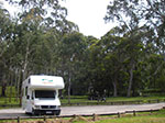 IMGP8132.jpg