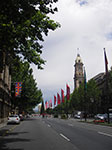 IMGP8145.jpg
