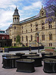 IMGP8149.jpg