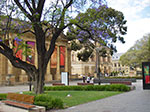 IMGP8150.jpg