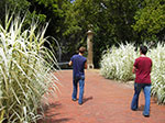 IMGP8152.jpg