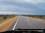 IMGP8204.jpg