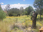 IMGP8442.jpg