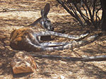 IMGP8444.jpg