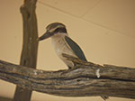 IMGP8455.jpg
