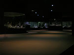 IMGP8483.jpg