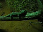 IMGP8493.jpg