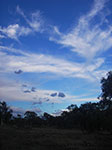 IMGP8545.jpg