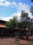IMGP8553.jpg