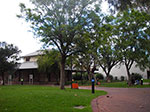 IMGP8561.jpg