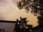 IMGP8566.jpg