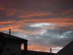 IMGP8572.jpg