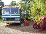 IMGP8657.jpg