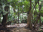 IMGP8687.jpg