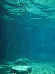 IMGP8711.jpg