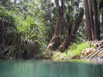 IMGP8728.jpg