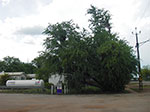 IMGP8746.jpg
