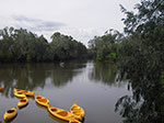 IMGP8752.jpg