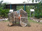 IMGP8783.jpg