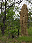 IMGP8793.jpg