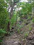 IMGP8805.jpg