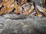 IMGP8844.jpg