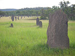 IMGP8860.jpg