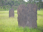 IMGP8863.jpg