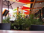 IMGP8973.jpg