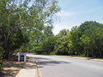 IMGP9026.jpg