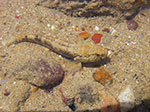 IMGP9033.jpg