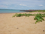 IMGP9035.jpg