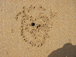 IMGP9059.jpg