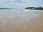 IMGP9060.jpg