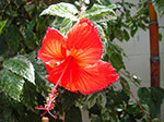 IMGP9081.jpg