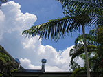 IMGP9088.jpg