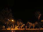 IMGP9137.jpg