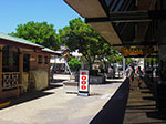 IMGP9225.jpg