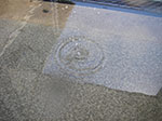 IMGP9257.jpg