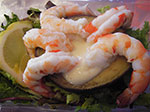 IMGP9294.jpg