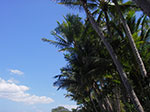 IMGP9312.jpg