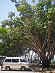 IMGP9315.jpg