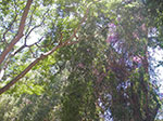 IMGP9316.jpg