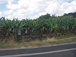 IMGP9327.jpg