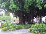 IMGP9350.jpg