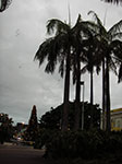 IMGP9356.jpg