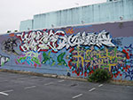 IMGP9367.jpg